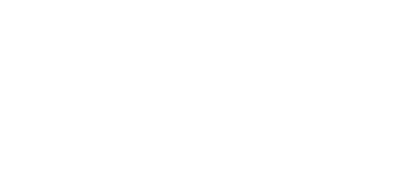 dina-cohen-a-new-years-revolution-4-12-january-2024