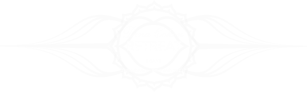 dina-cohen-retreat-banner